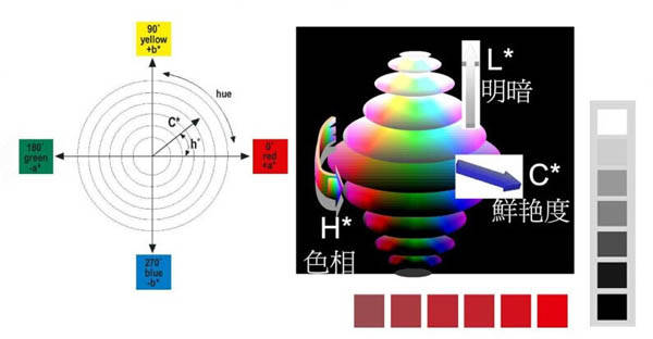 ɫ��ɫƬ�ɫ��ȼ��g(sh��)�����D