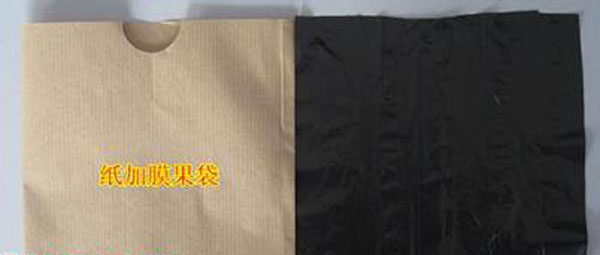 ����Ĥ�������O(p��ng)��������̿��